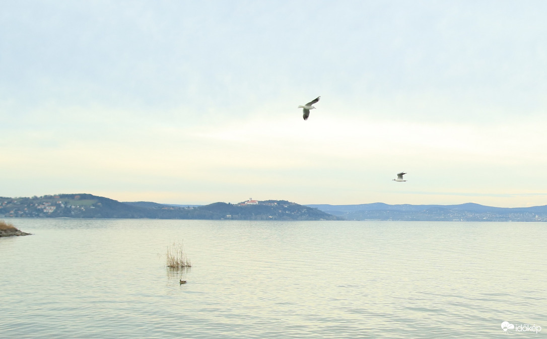 Az északi part a Balaton egyik nevezetességével.