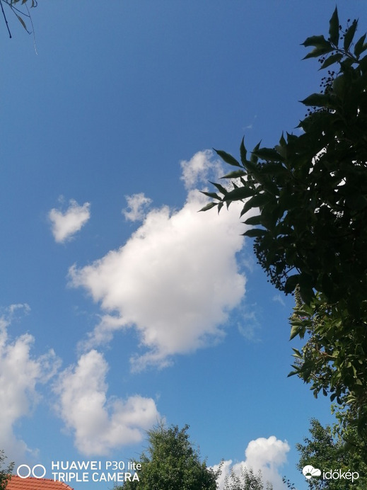 Észlelési fényképek