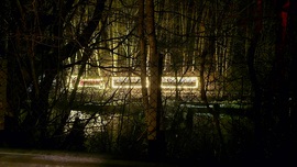 Mikulásra készülődvén...