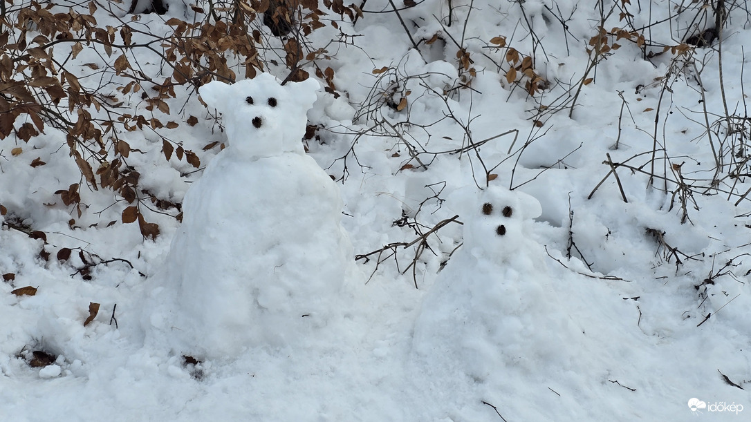 Jegesmedvék a Bükkben :)