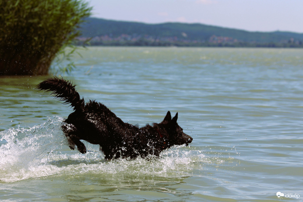 Balaton