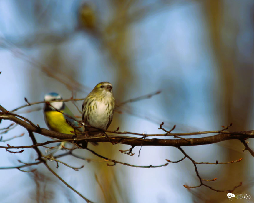Lassan fel kell tölteni az etetőket