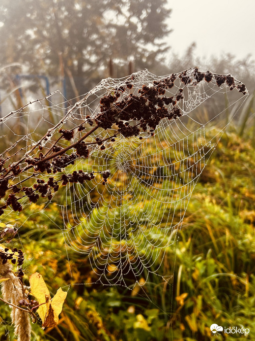 Tökéletes szövés