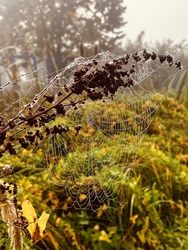 Tökéletes szövés