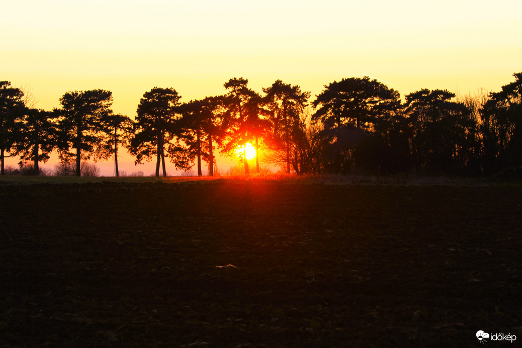 Fenyők közt kukucskáló