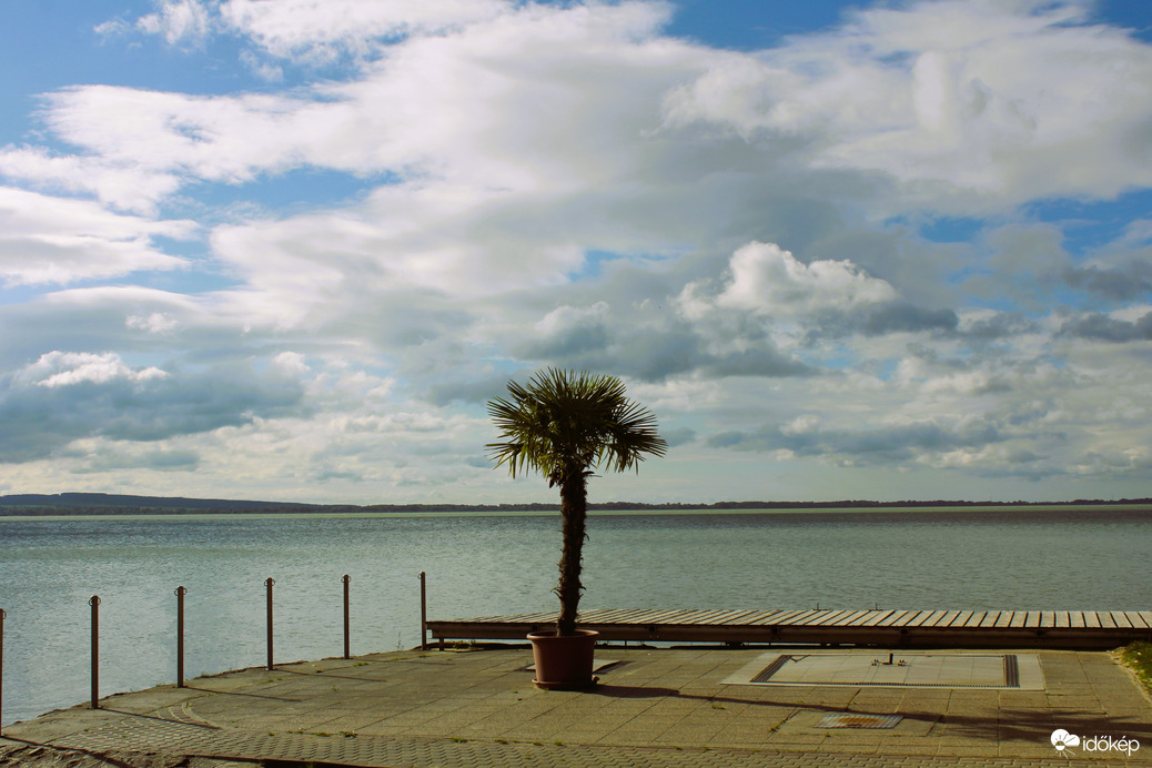 Már csak a pálma áll magányosan a parton