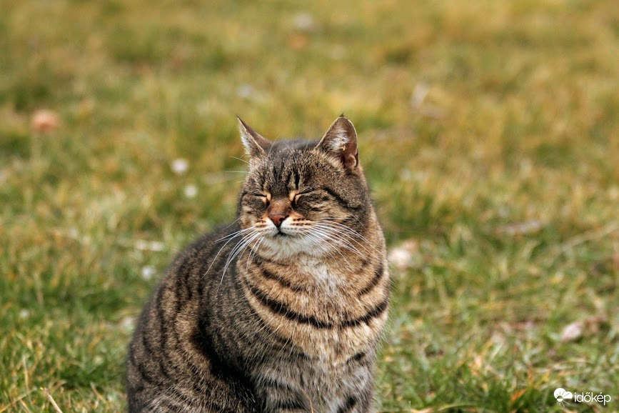 Már érzem a tavasz illatát