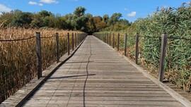 Balatonfűzfő