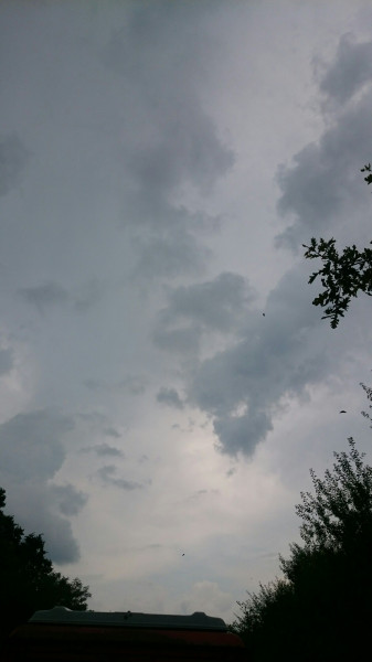 Észlelési fényképek