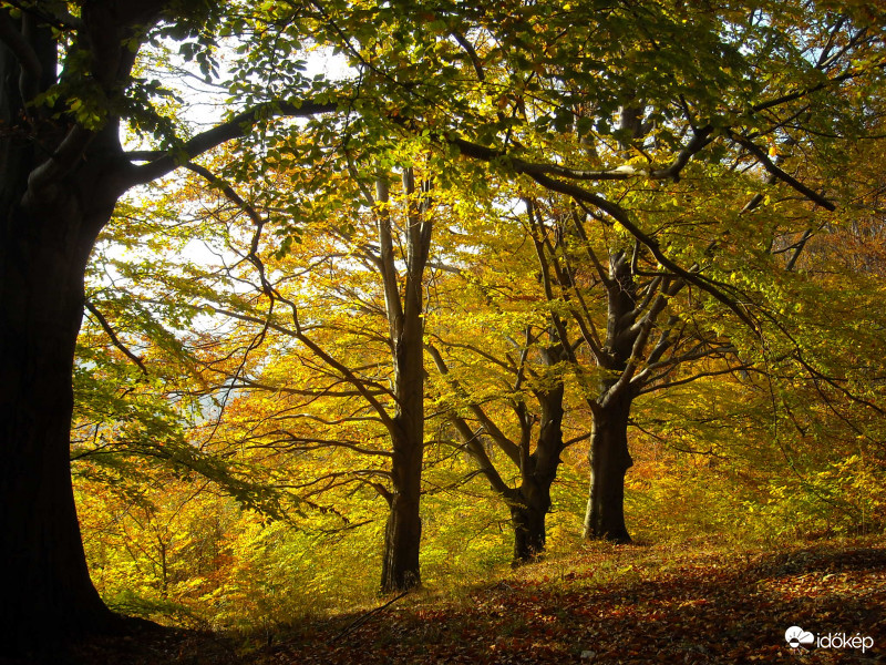 Miskolc, Bükkszentkereszt