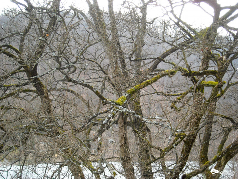 Miskolc-Lillafüred