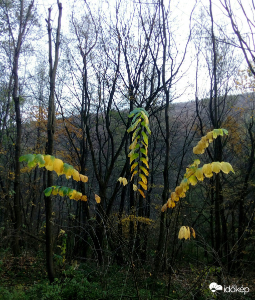Miskolc-Lillafüred
