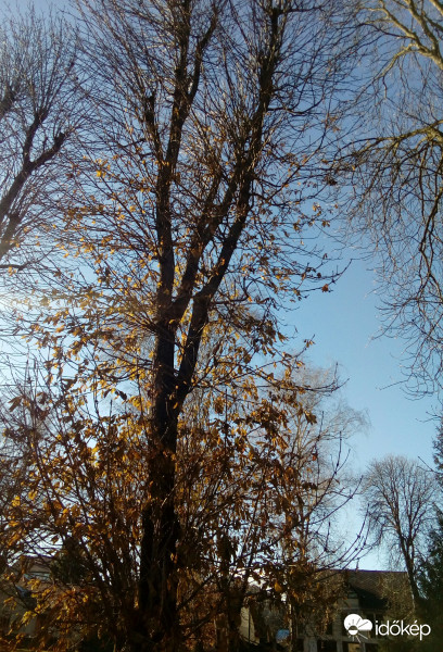 Miskolc