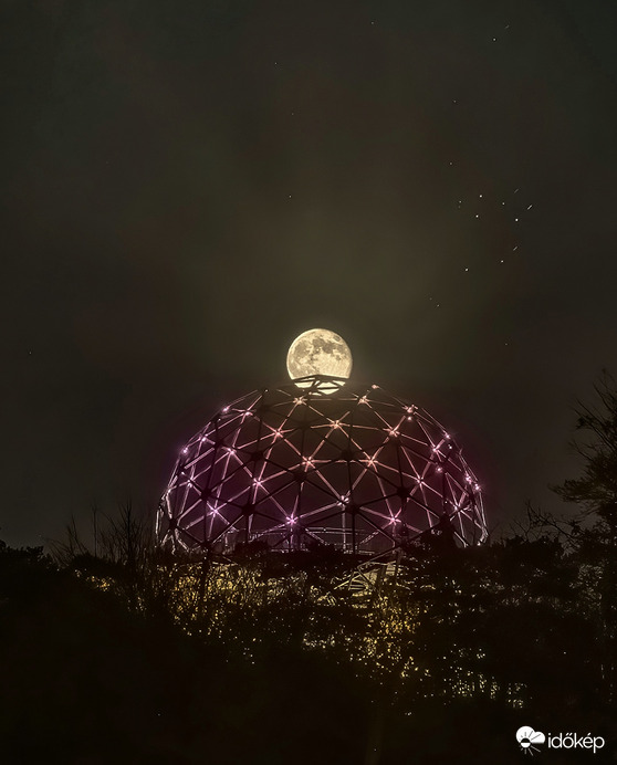 Gömbök és a fiastyúk