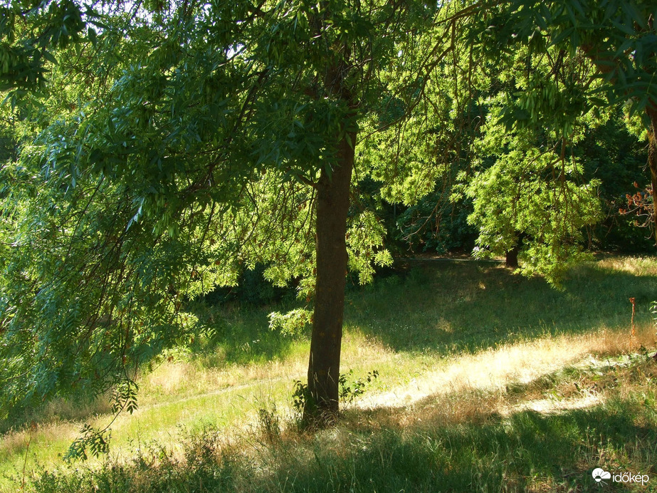 Természet