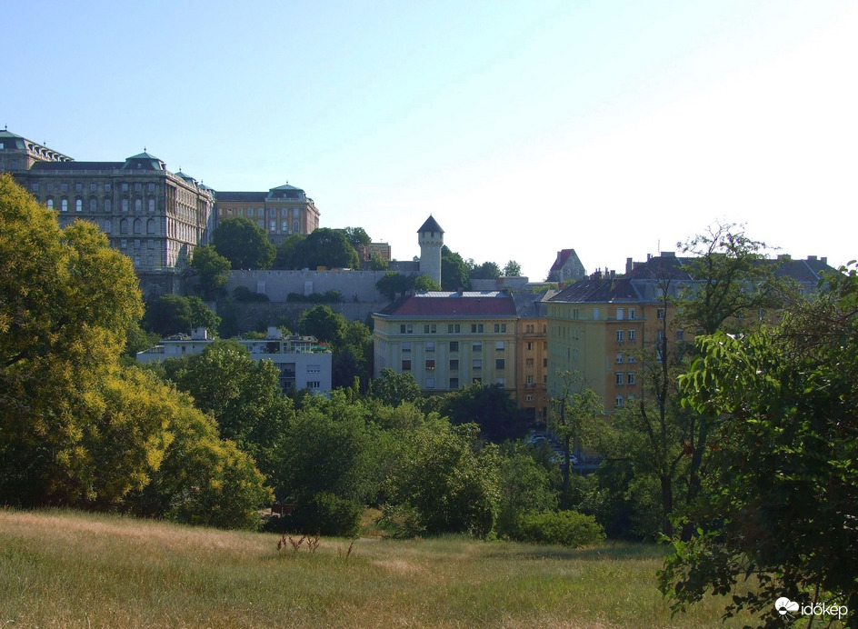 Természet