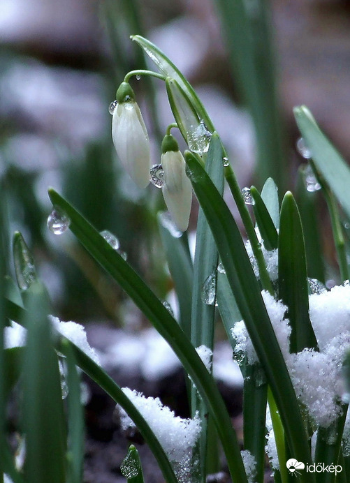 Reggel esett, el is olvadt 