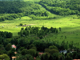 Májusi tájrészlet 