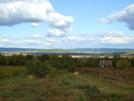 Lánkás, dimbes-dombos a táj 