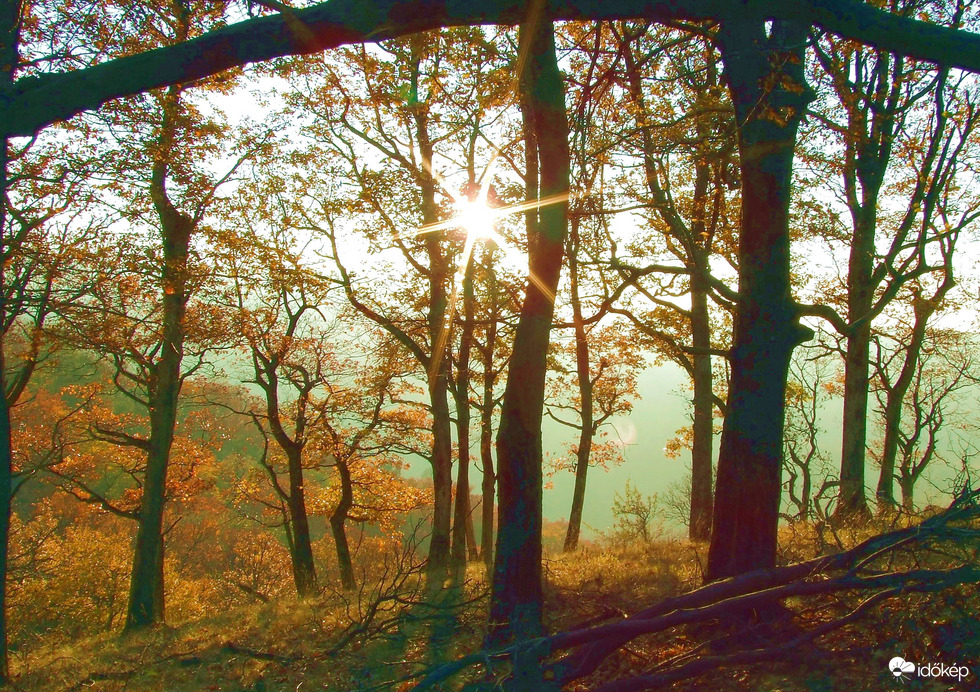 Őszi fények párás időben 
