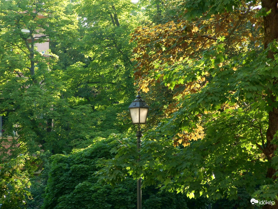 Természet