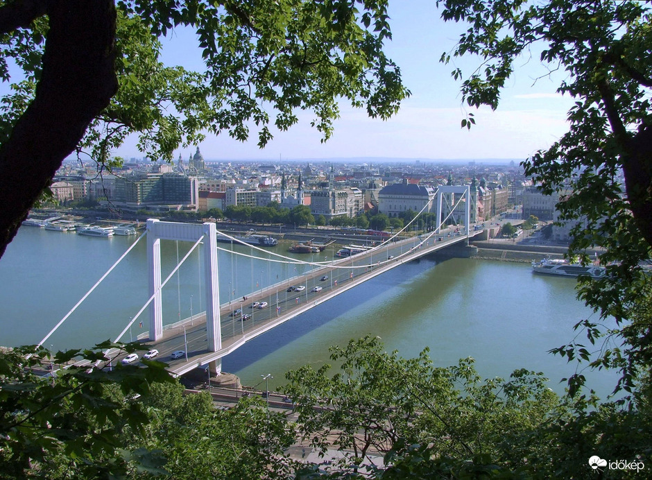 Természet