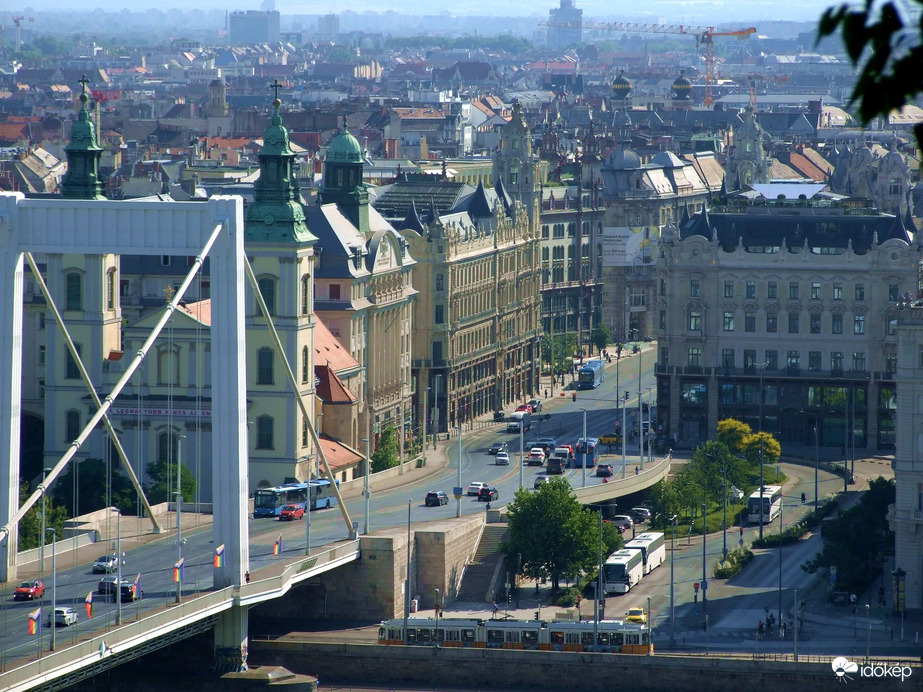 Természet