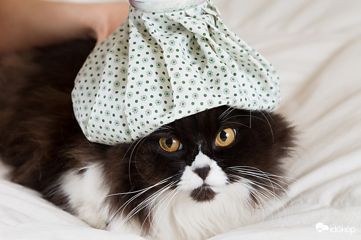 Nem bírom a frontokat! :)) 