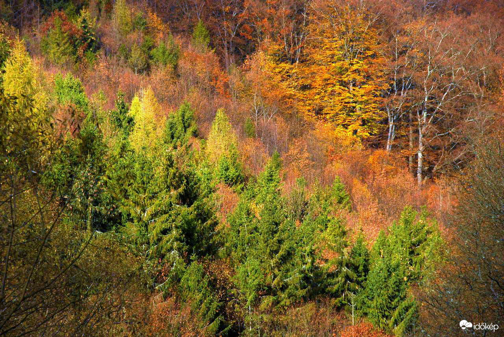 Az ősz színei egy képen :) 