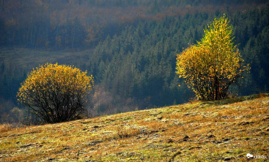 Ősz a Bükkben 