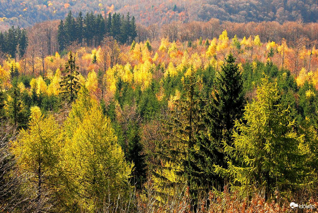 Ősszel, a hegyekben 