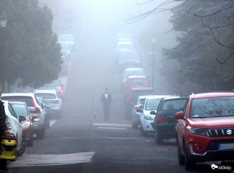 Reggeli kutyasétáltatás 