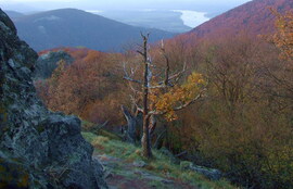 Dacolva az elemekkel 