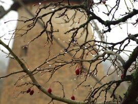 Időjárás-jelentés :)