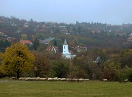 Tájkép birkákkal :)