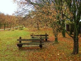 Borongós, nedves idő 