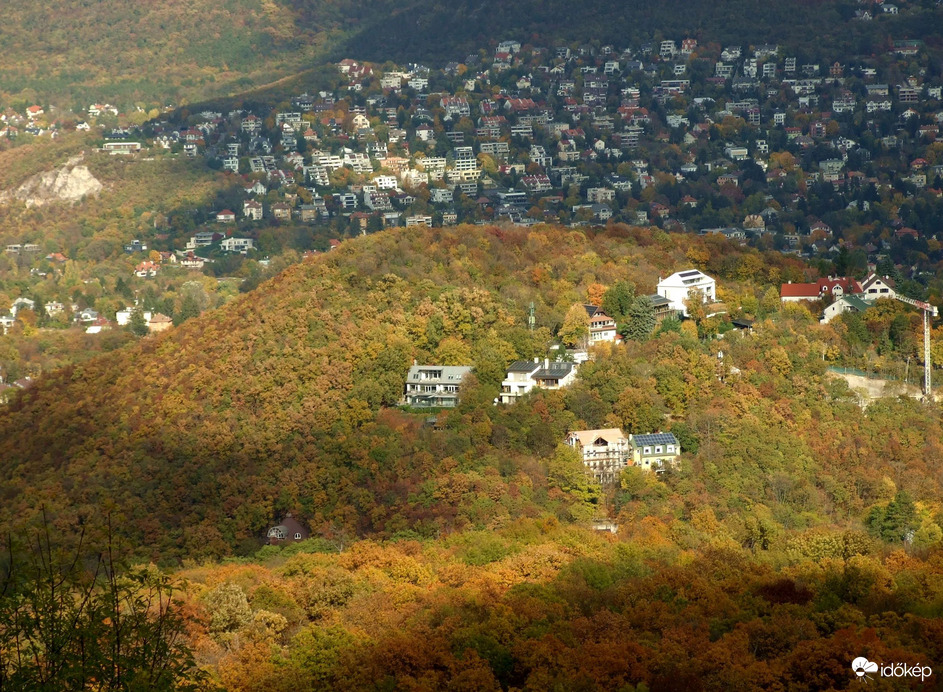 Őszi kirándulás - A Normafa és környéke ősszel 