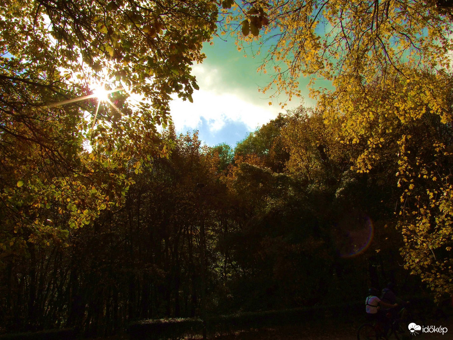 Őszi kirándulás - A Normafa és környéke ősszel 