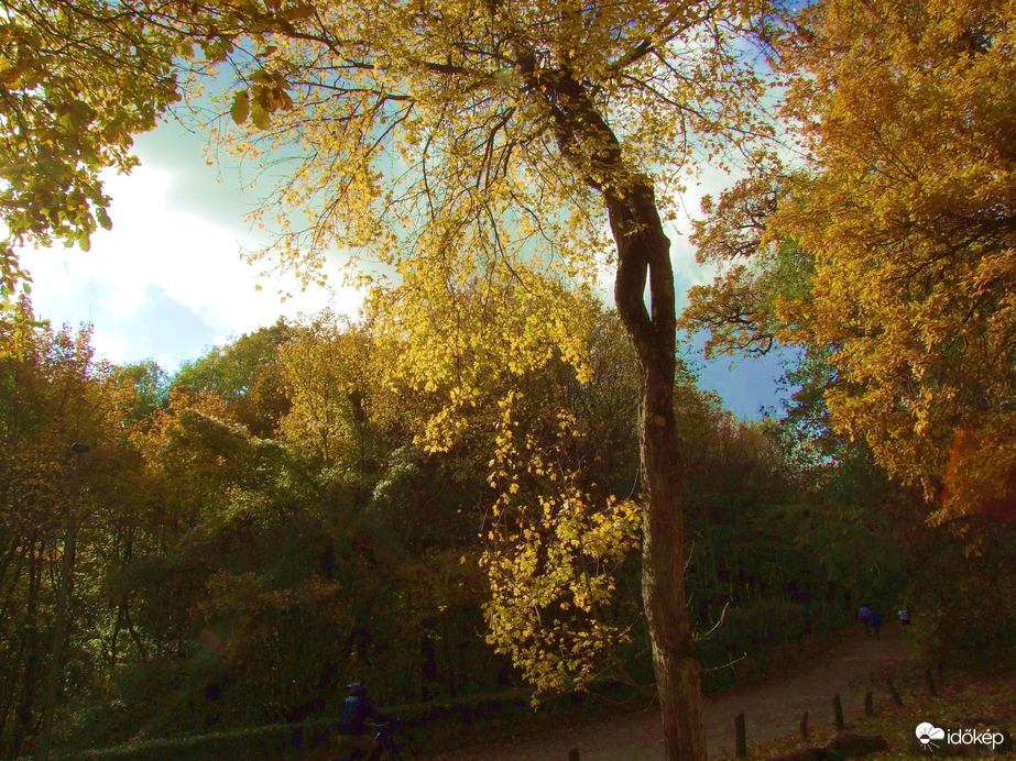 Őszi kirándulás - A Normafa és környéke ősszel 