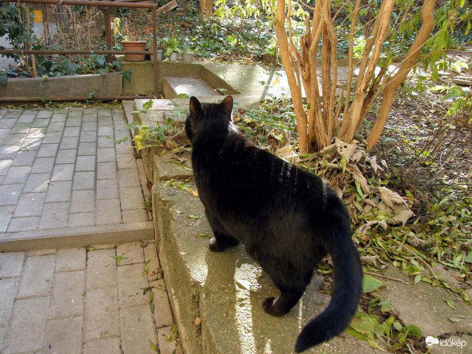 Felfedezésre vár a kert! :)