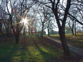 Ma még sütött a nap 