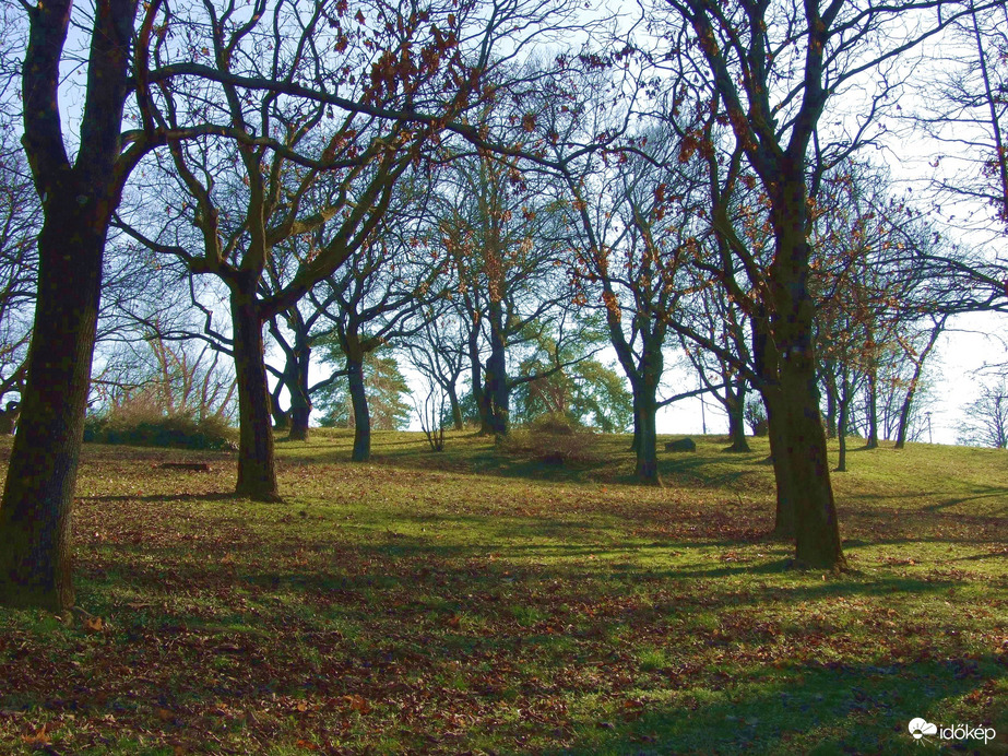 December végi fények 