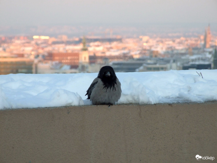 Havas, téli Budapest :) 