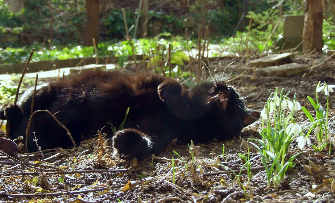 Áááá, király idő van! :)