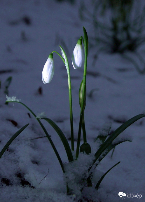 Újra itt a hó! :)
