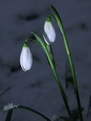 Ma este, Budapesten :)