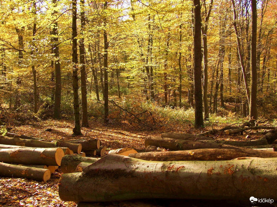 Még egy kis őszi Pilis :)