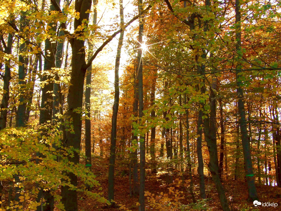 Még egy kis őszi Pilis :)