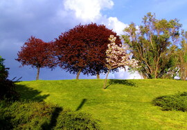 Tavasz Budán 
