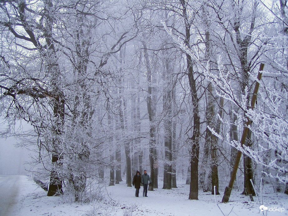 téli világ a Budai-hegyekben